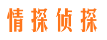 灵山外遇出轨调查取证